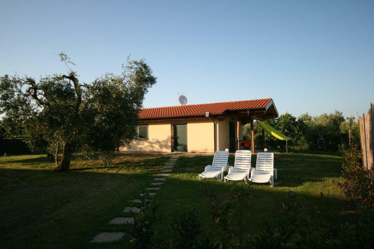 Due Casette Con Piscina Castagneto Carducci Exterior photo