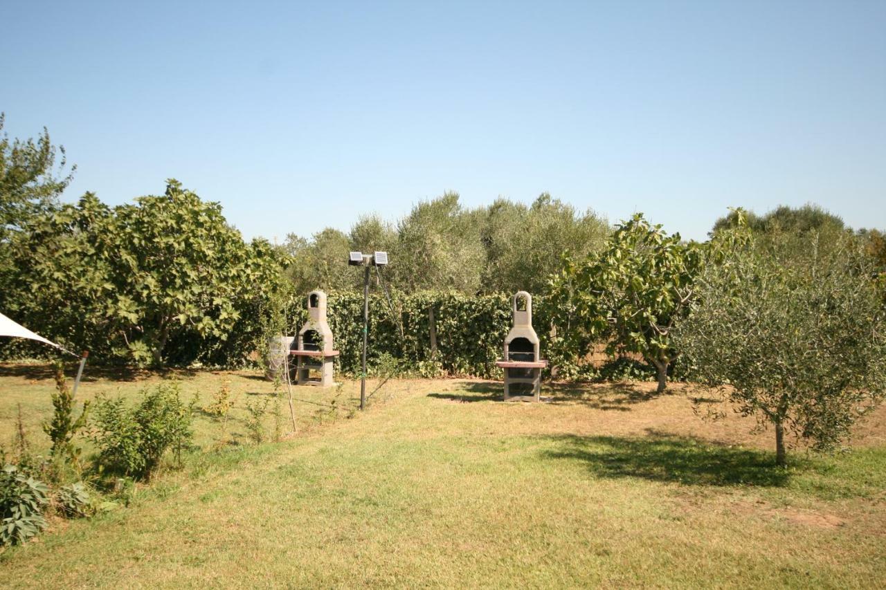 Due Casette Con Piscina Castagneto Carducci Exterior photo