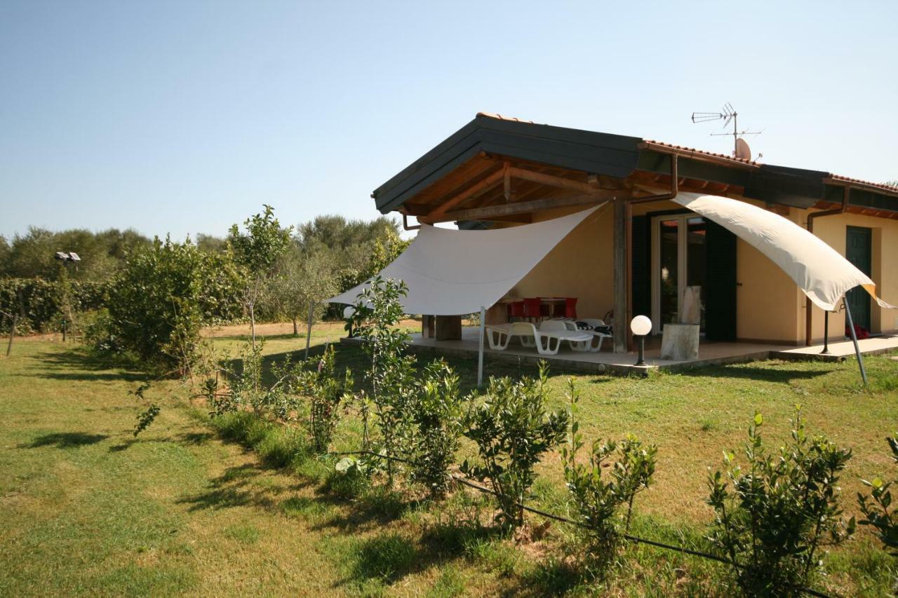 Due Casette Con Piscina Castagneto Carducci Exterior photo